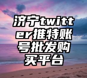 济宁twitter推特账号批发购买平台